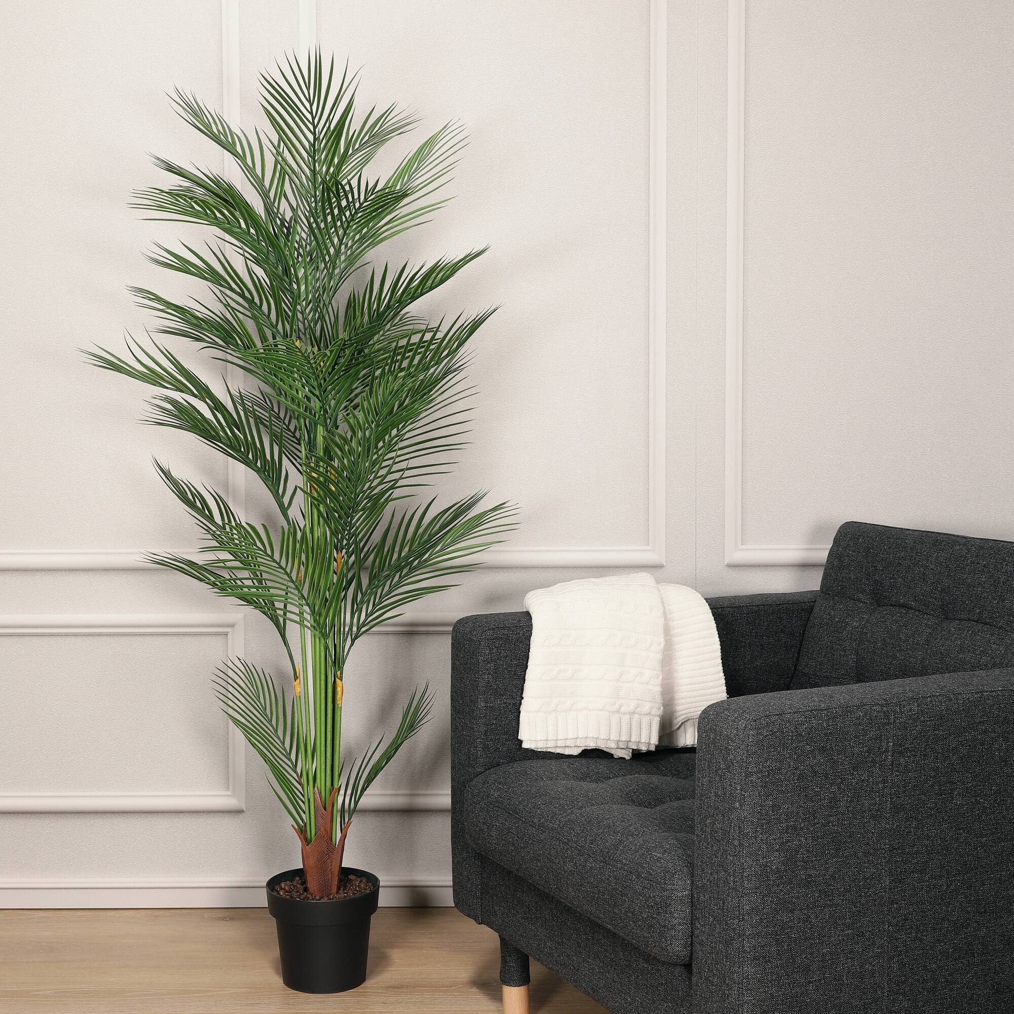 6 Pack: 5.5ft. Potted Areca Palm Tree